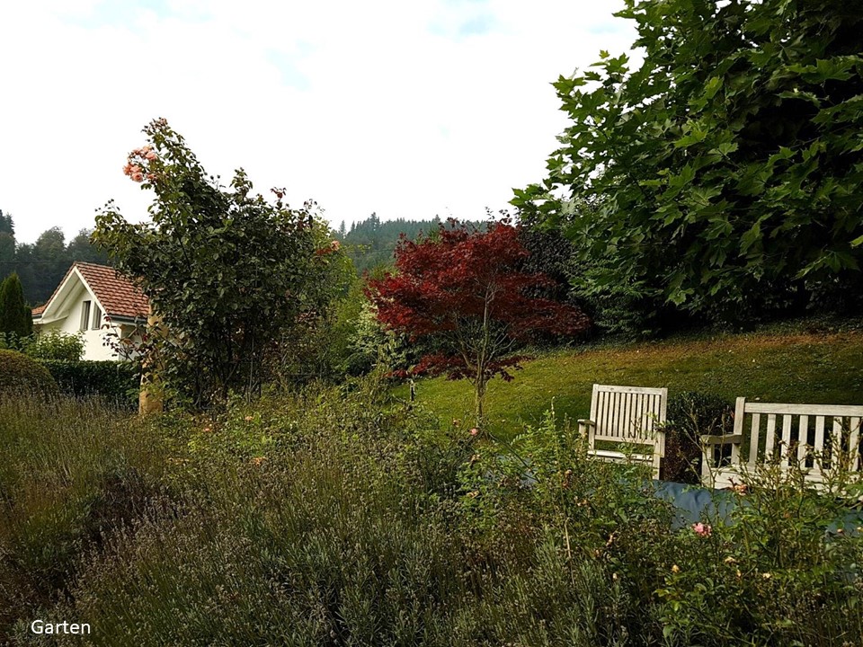 Unterägeri_Wohnung019